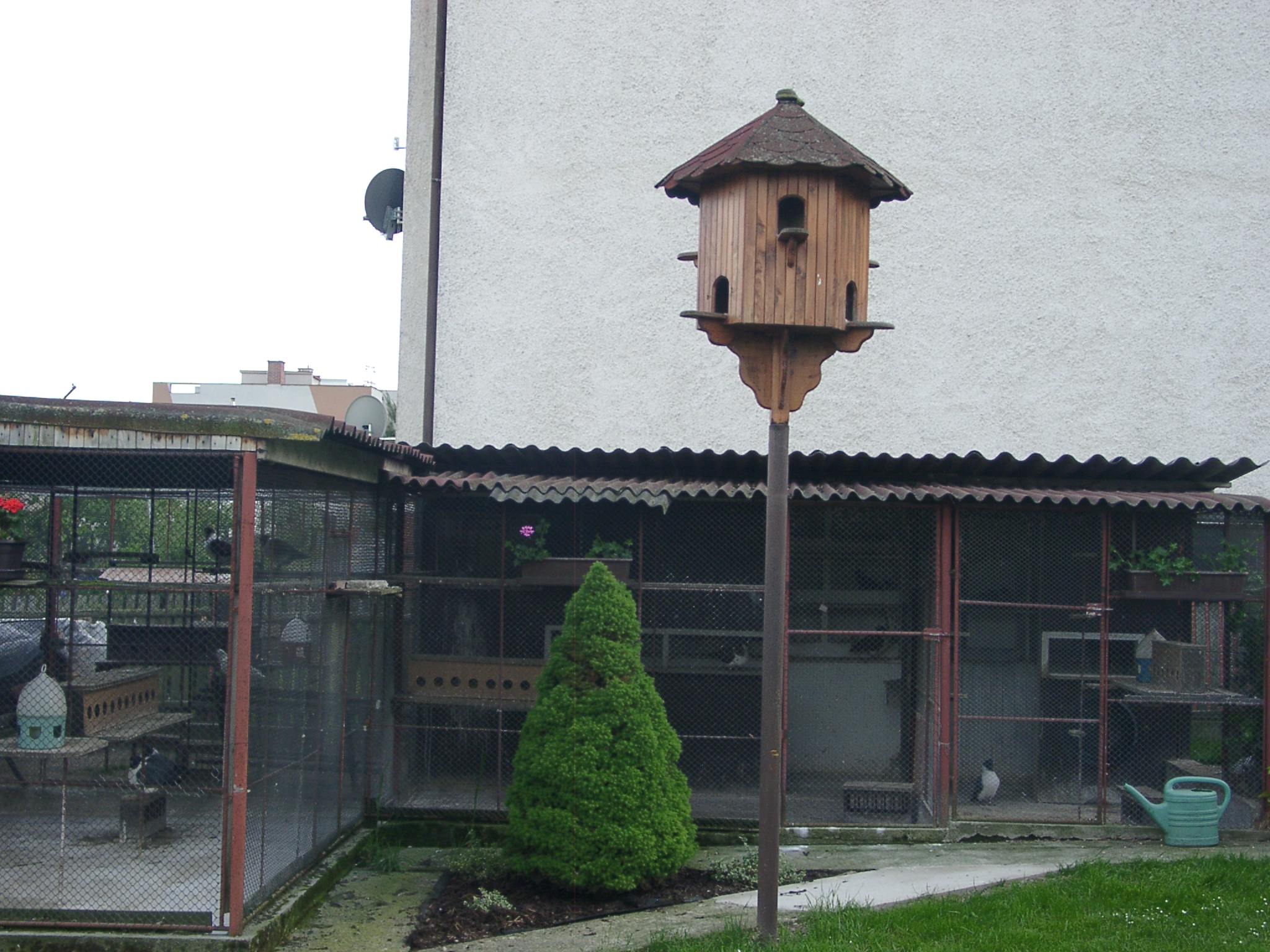 Holubárny