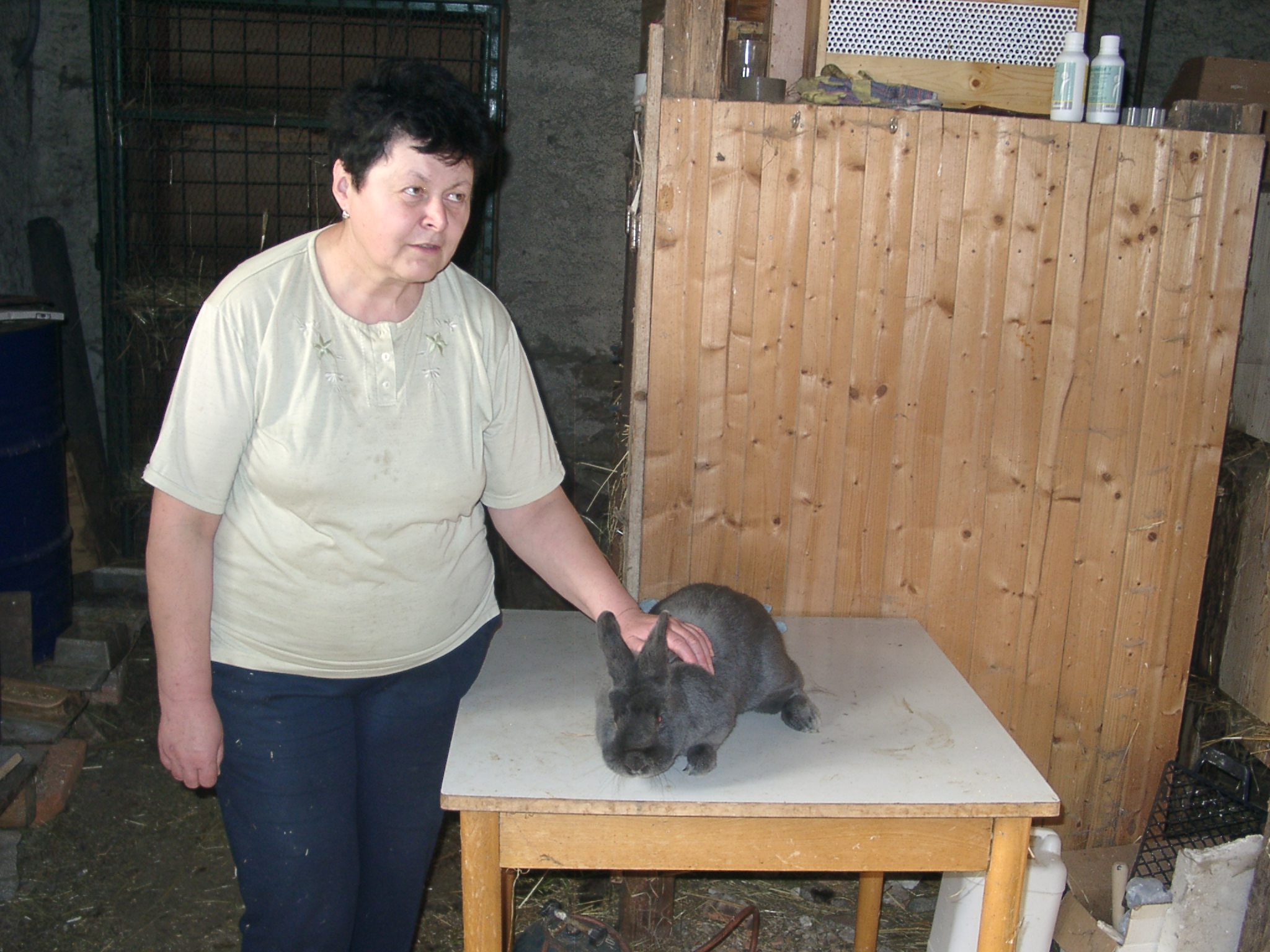 Dvořáková M.