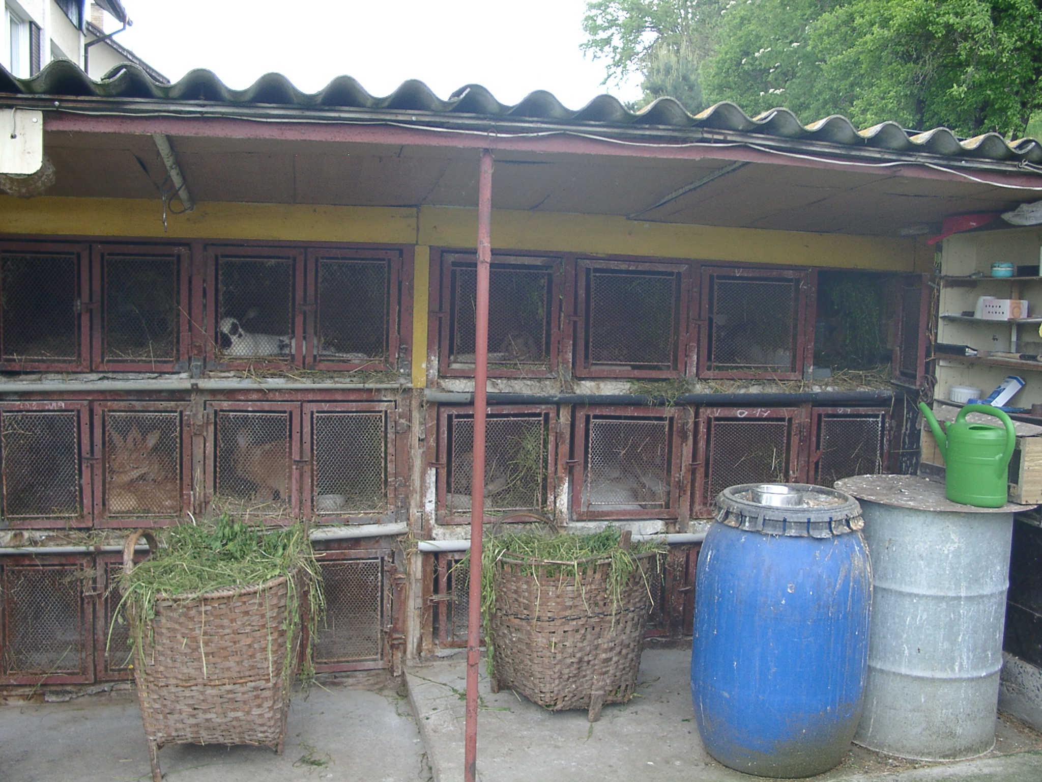 Králíkárny